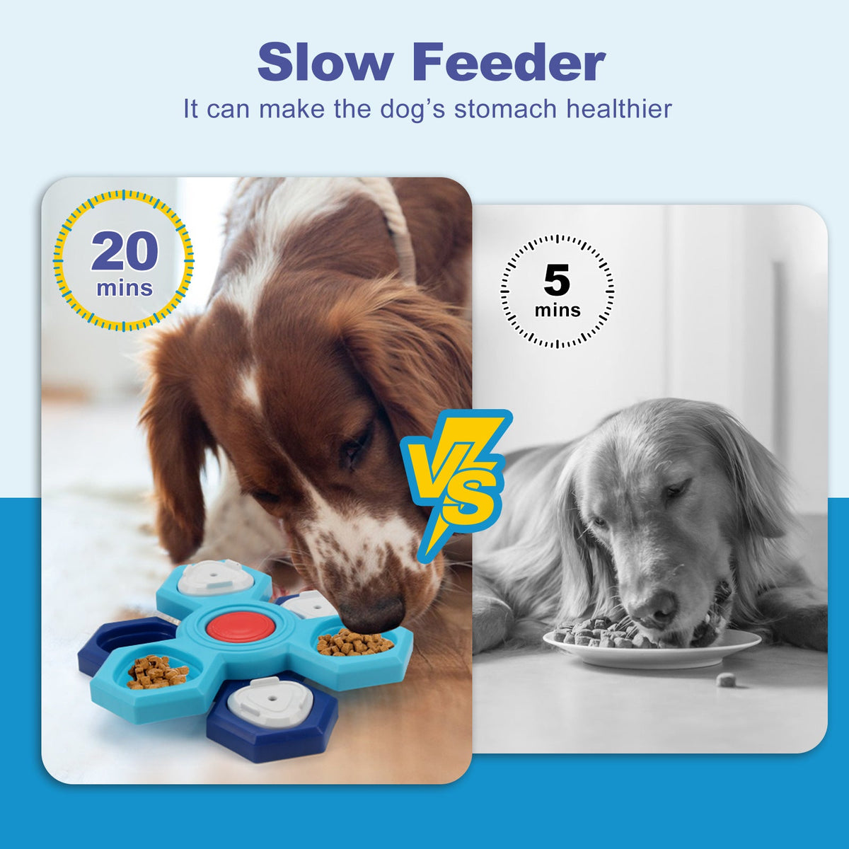 4-Layer Slow Feeder Puzzle Bowl for Dogs