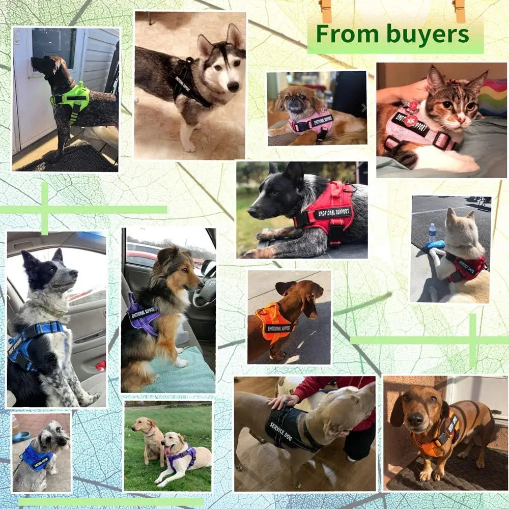 Reflective No-Pull Dog Harness Vest