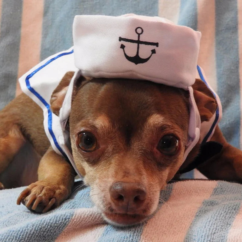 Sailor Costume for Cats & Small Dogs