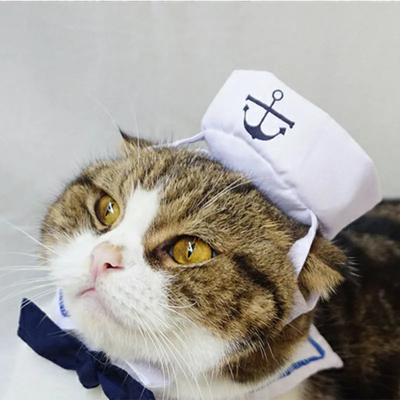 Sailor Costume for Cats & Small Dogs
