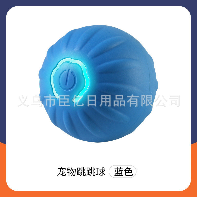 Interactive Bouncing Pet Toy Ball