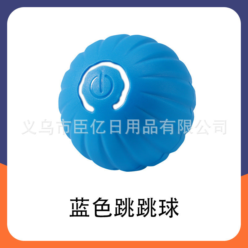 Interactive Bouncing Pet Toy Ball