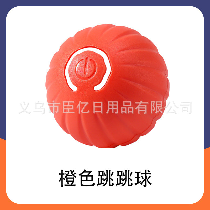 Interactive Bouncing Pet Toy Ball