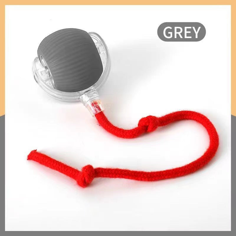 Interactive Bouncing Pet Toy Ball