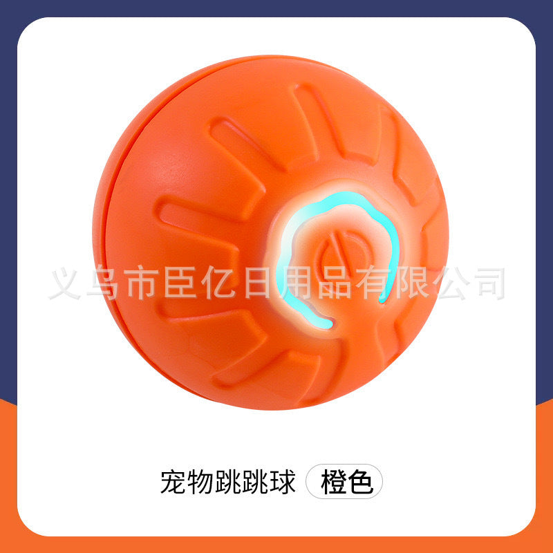 Interactive Bouncing Pet Toy Ball