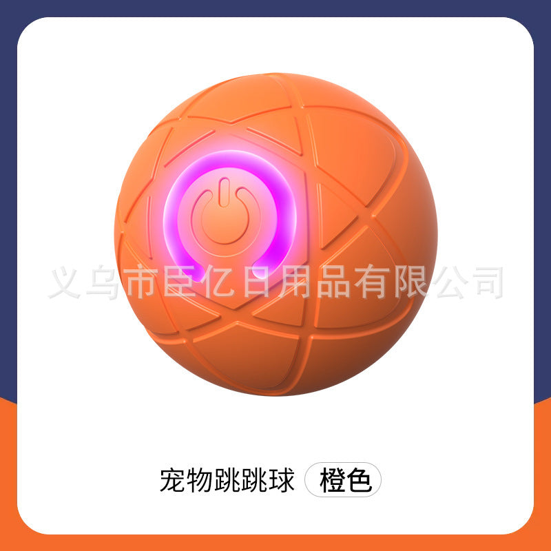 Interactive Bouncing Pet Toy Ball