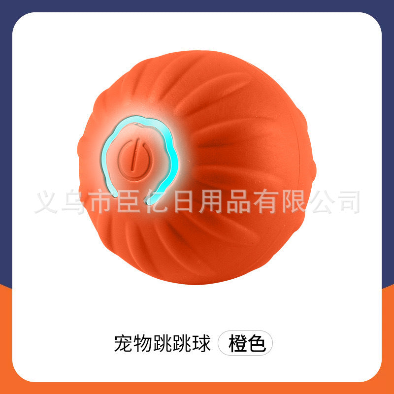 Interactive Bouncing Pet Toy Ball