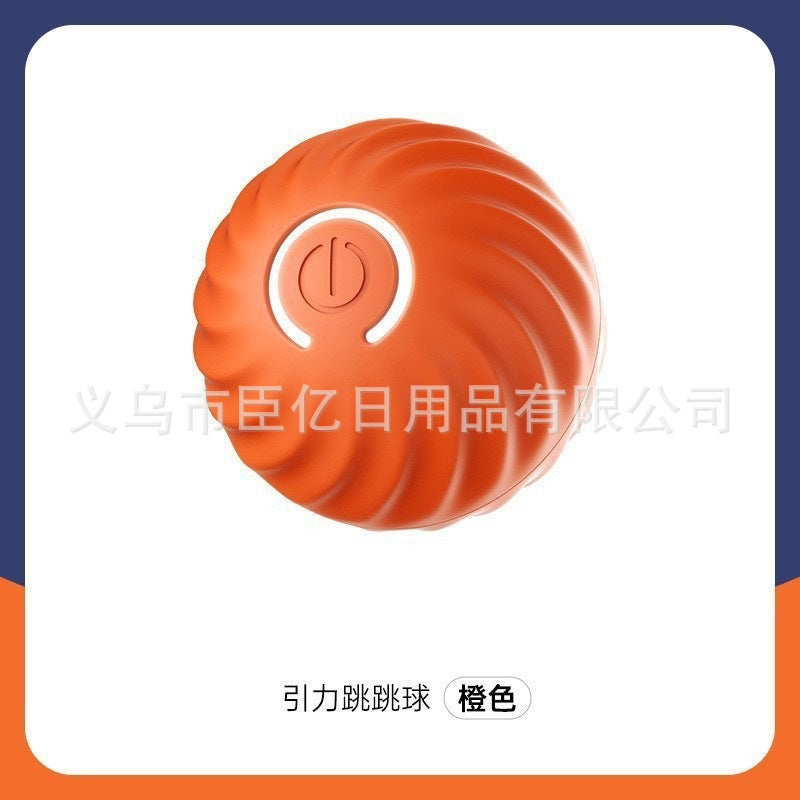 Interactive Bouncing Pet Toy Ball