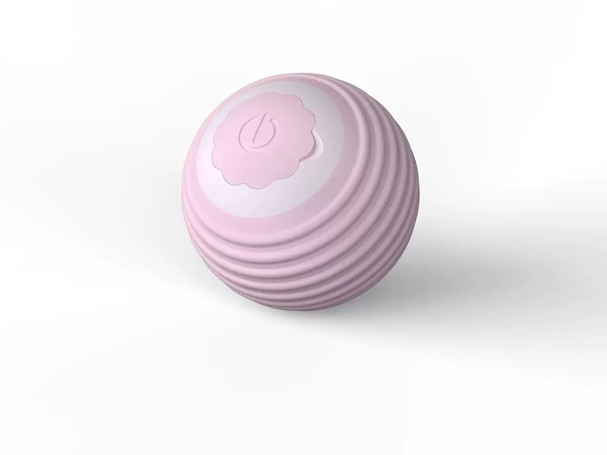 Interactive Bouncing Pet Toy Ball