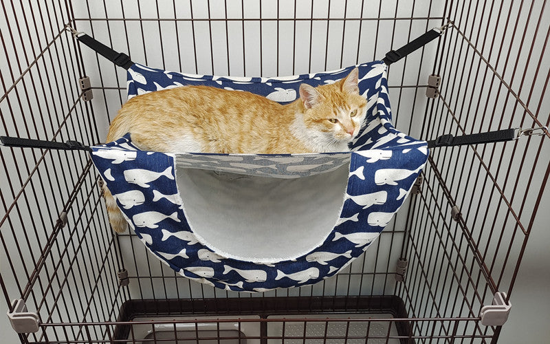 Hanging Cat Hammock