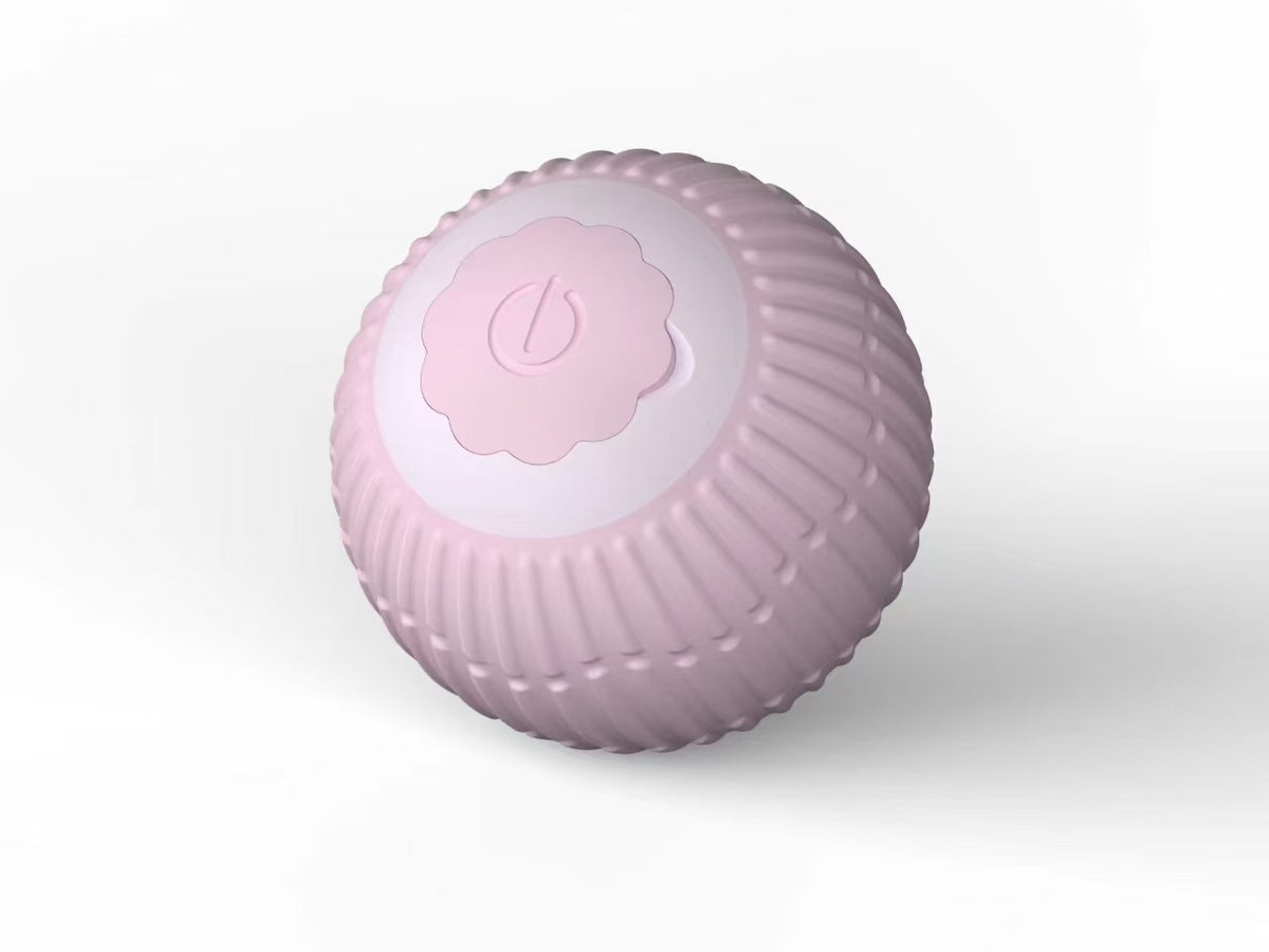 Interactive Bouncing Pet Toy Ball