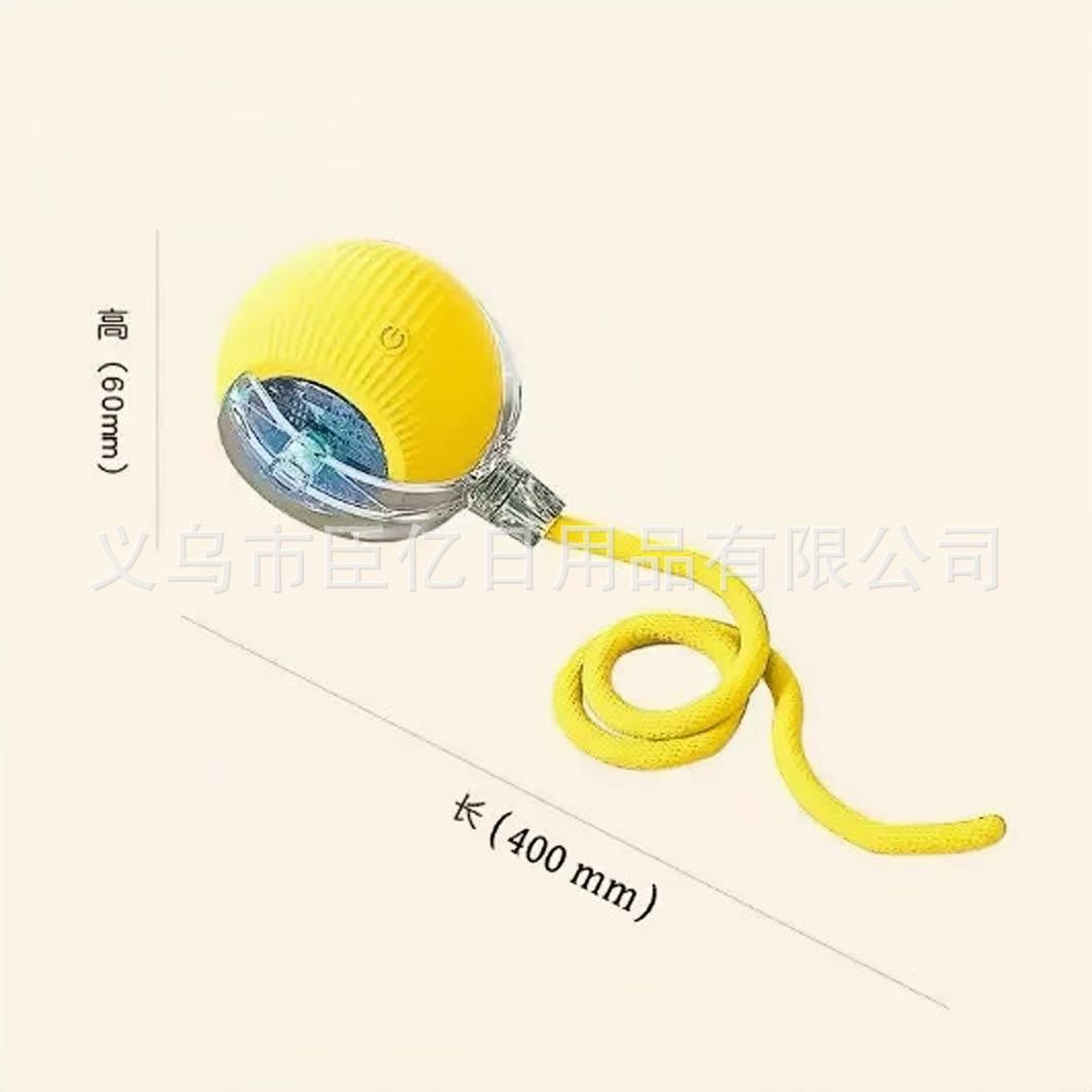 Interactive Bouncing Pet Toy Ball
