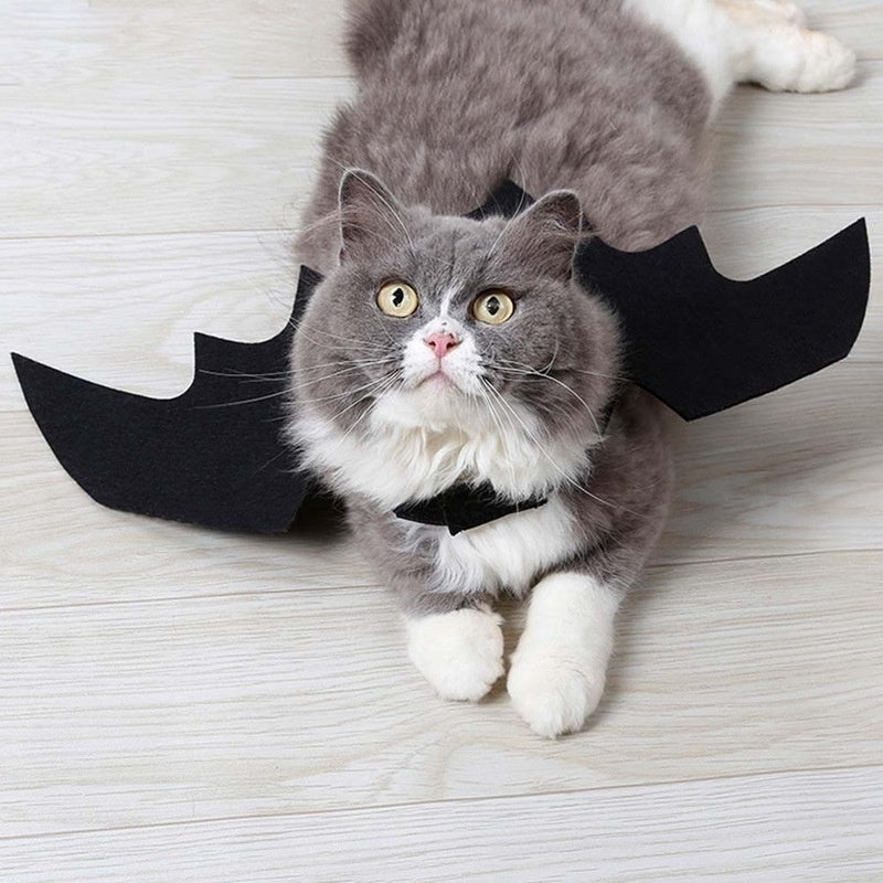 Bat Wings Halloween Costume for Cats & Small Dogs