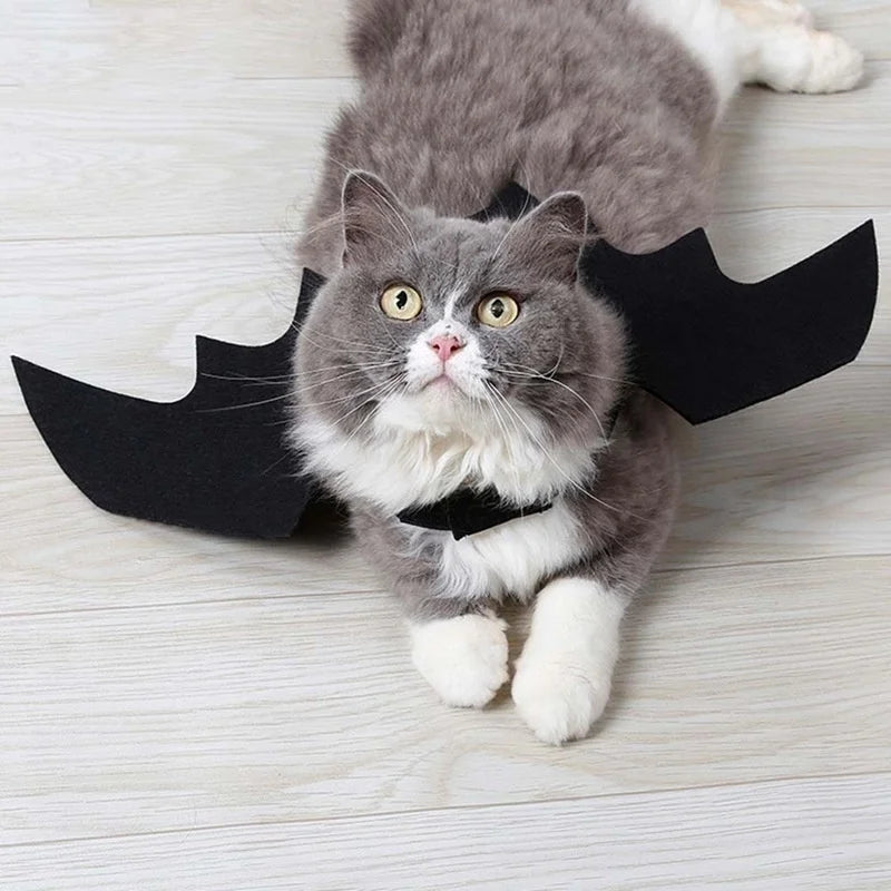 Bat Wings Halloween Costume for Cats & Small Dogs