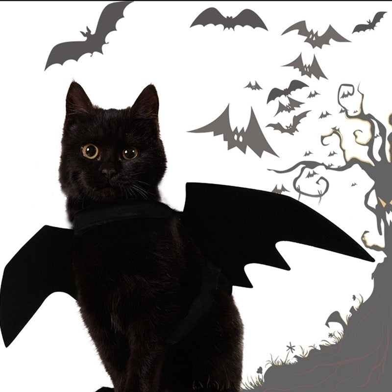 Bat Wings Halloween Costume for Cats & Small Dogs