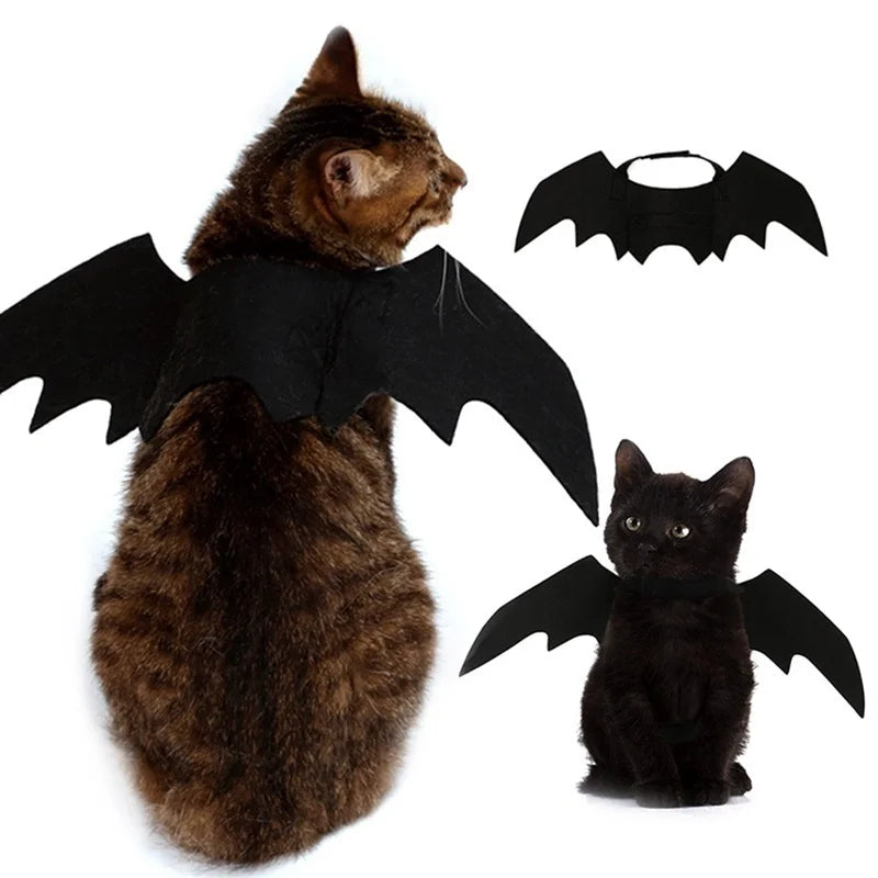 Bat Wings Halloween Costume for Cats & Small Dogs