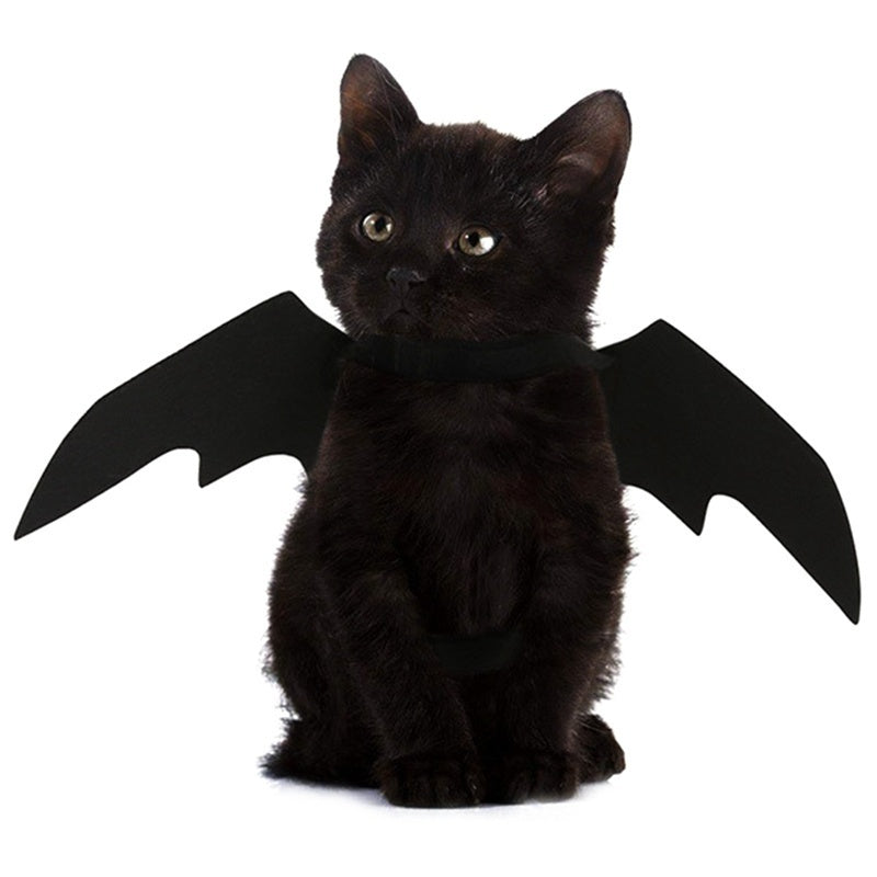 Bat Wings Halloween Costume for Cats & Small Dogs