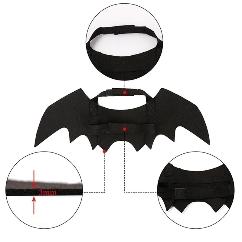Bat Wings Halloween Costume for Cats & Small Dogs