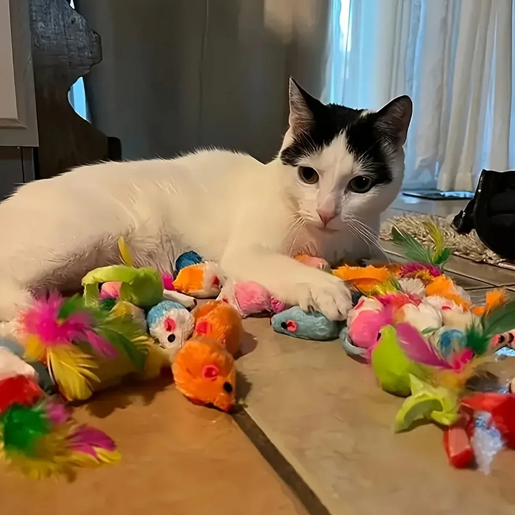 Cat Toy Variety Pack (14, 28 or 56 Pieces)