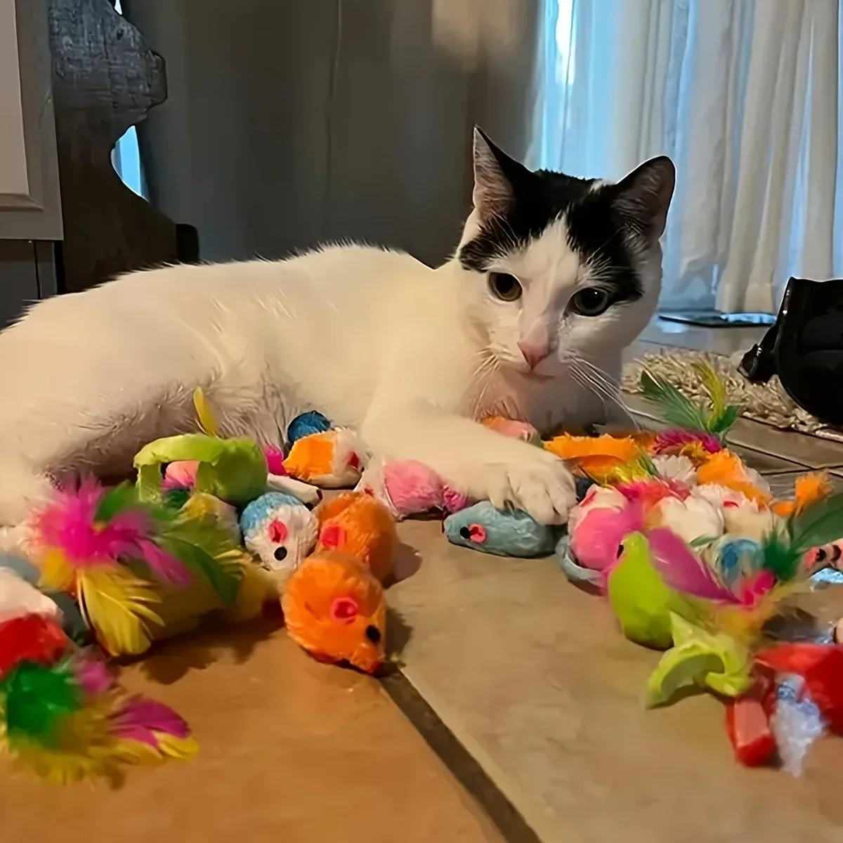 Cat Toy Variety Pack (14, 28 or 56 Pieces)