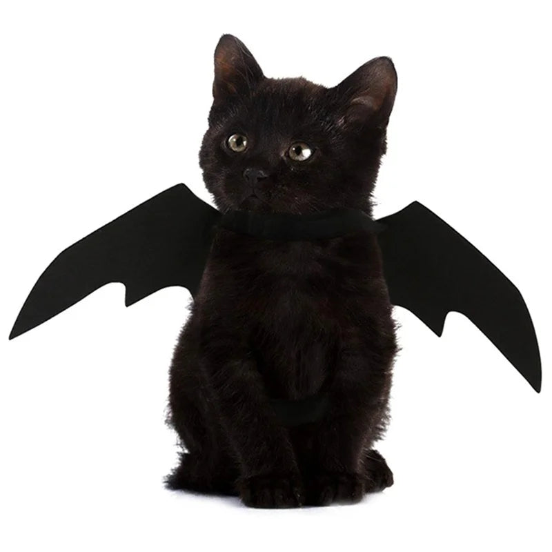 Bat Wings Halloween Costume for Cats & Small Dogs