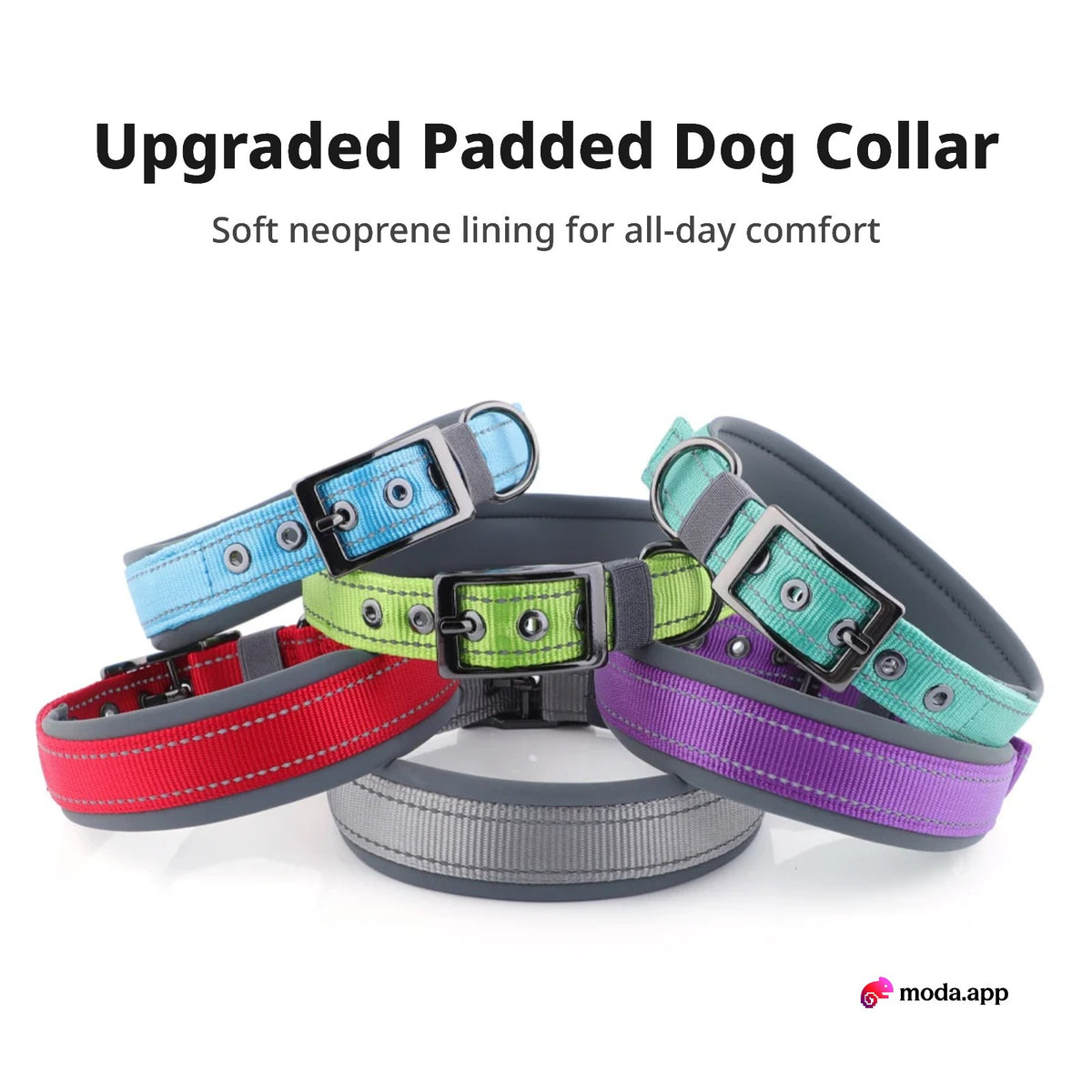 Upgraded padded dog collars in multiple colors
